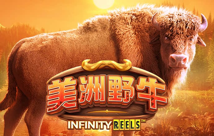 bet9登录进去了吗