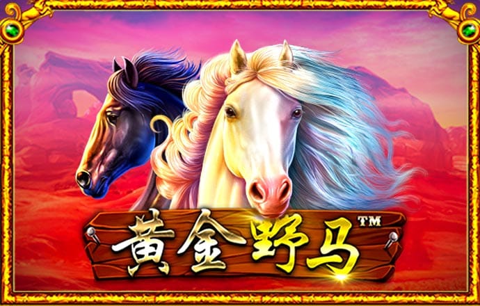 港澳宝典网站